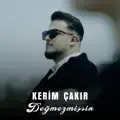 Değmezmişsin
