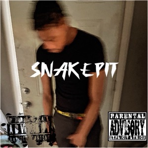 SnakePit