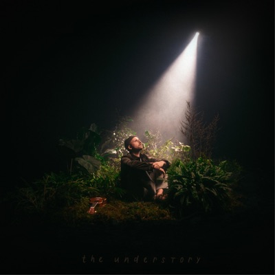 the understory