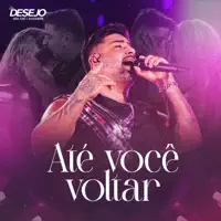 Ate Voce Voltar — Seu Desejo