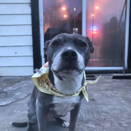 Skinny Love Taylor Beau