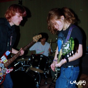 swiss cheese - Single