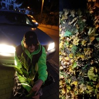 Camouflage - Single - Grafi