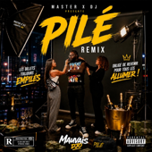 Pilé (Remix) song art