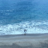 Find You - Single - Lemeria