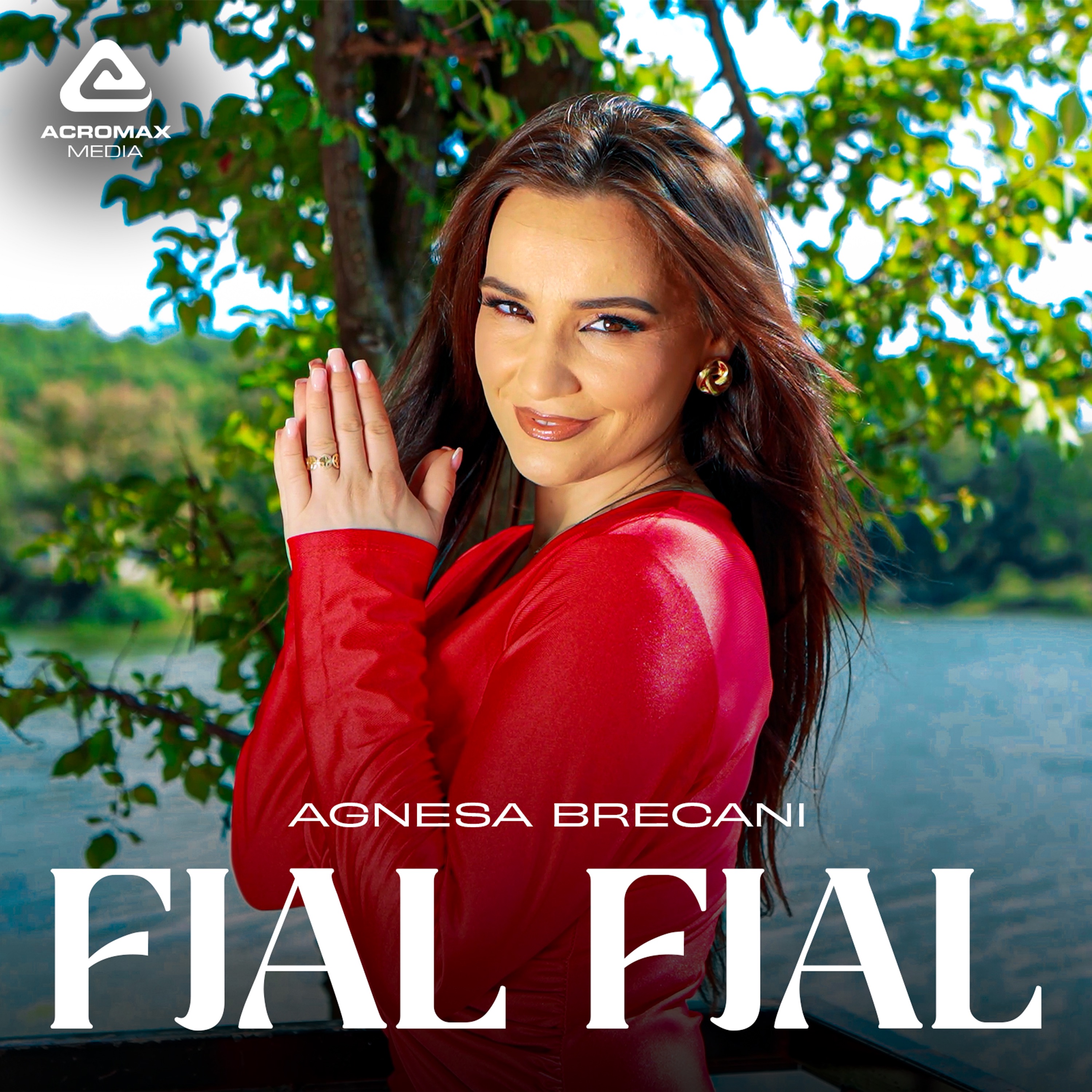 Fjal Fjal - Single