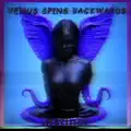 Venus Spins Backwards