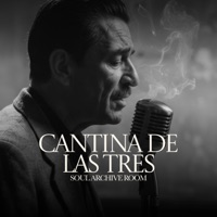 Cantina de las Tres (feat. Wayne) - Single - SOUL ARCHIVE ROOM