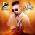 Fly Butterfly