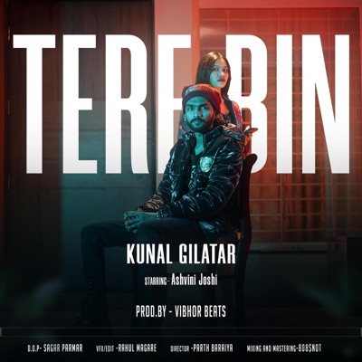 Tere Bin - Single