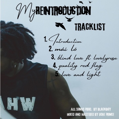 MY REINTRODUCTION - EP