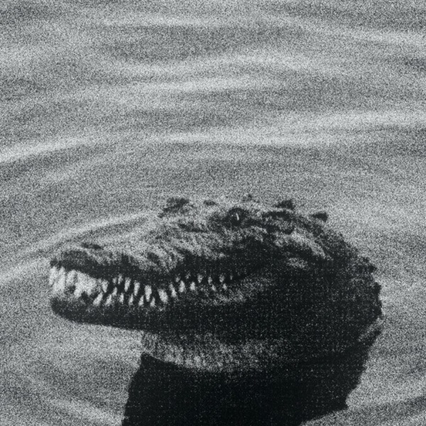 Alligator (feat. Tenbandwann)