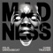 Madness - Felix da Housecat & Chris Trucher lyrics