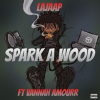 Spark A Wood (feat. Vannah Amourr) - Single - lajaap