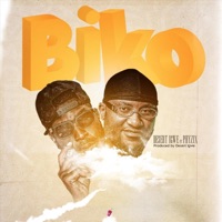 BIKO (feat. Phyzix) - Single - Desert Igwe