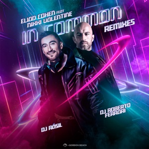In Common Remixes (Remix) [feat. Nikki Valentine] - Single