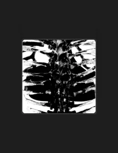 m0rph33us dinle, müzik videolarını izle, biyografisini oku, tur tarihlerini ve daha fazlasını gör!