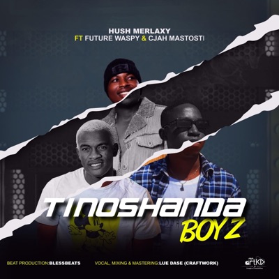 TINOSHANDA BOYS (feat. Cjah Matsotsi & Future Waspy) - Single