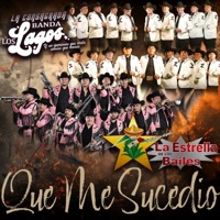 Que Me Sucedio - Single - Banda Los Lagos