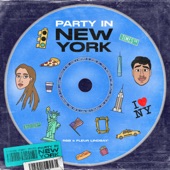Party in New York artwork
