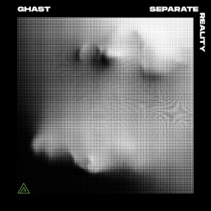 Separate Reality - Single