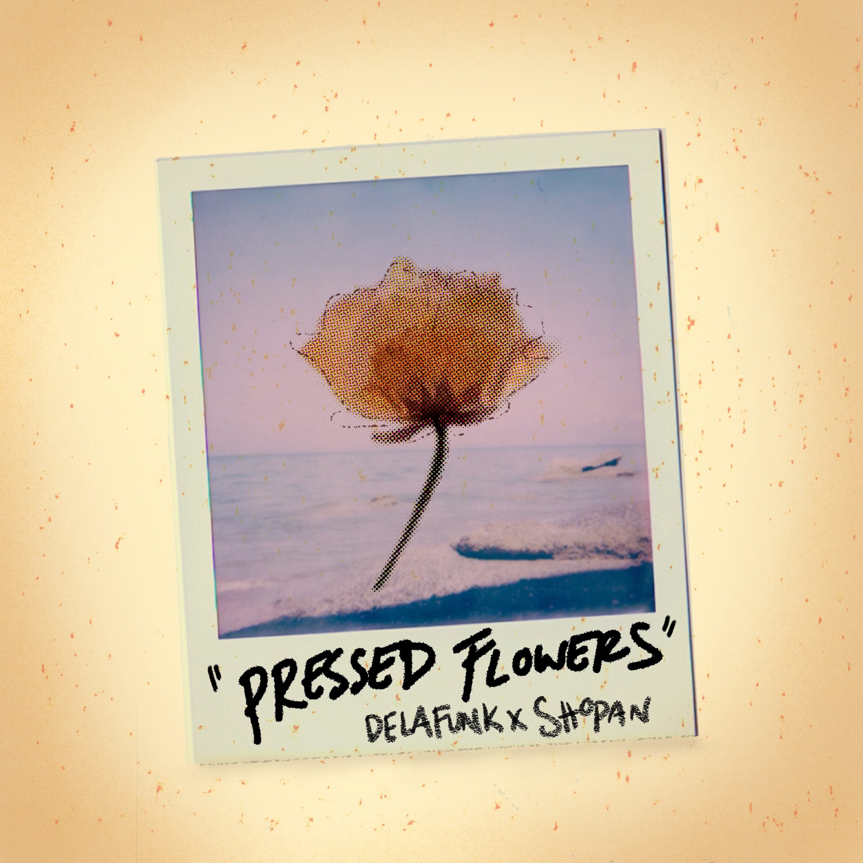 Pressed Flowers - Single