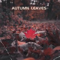 Autumn Leaves - Single - Vahid Mahdiun & mp_musicdreamer