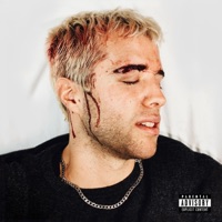 Wonderliz - Single - Liz Forte