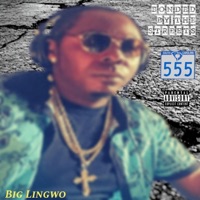 Bonded By The Streets - Big Lingwo