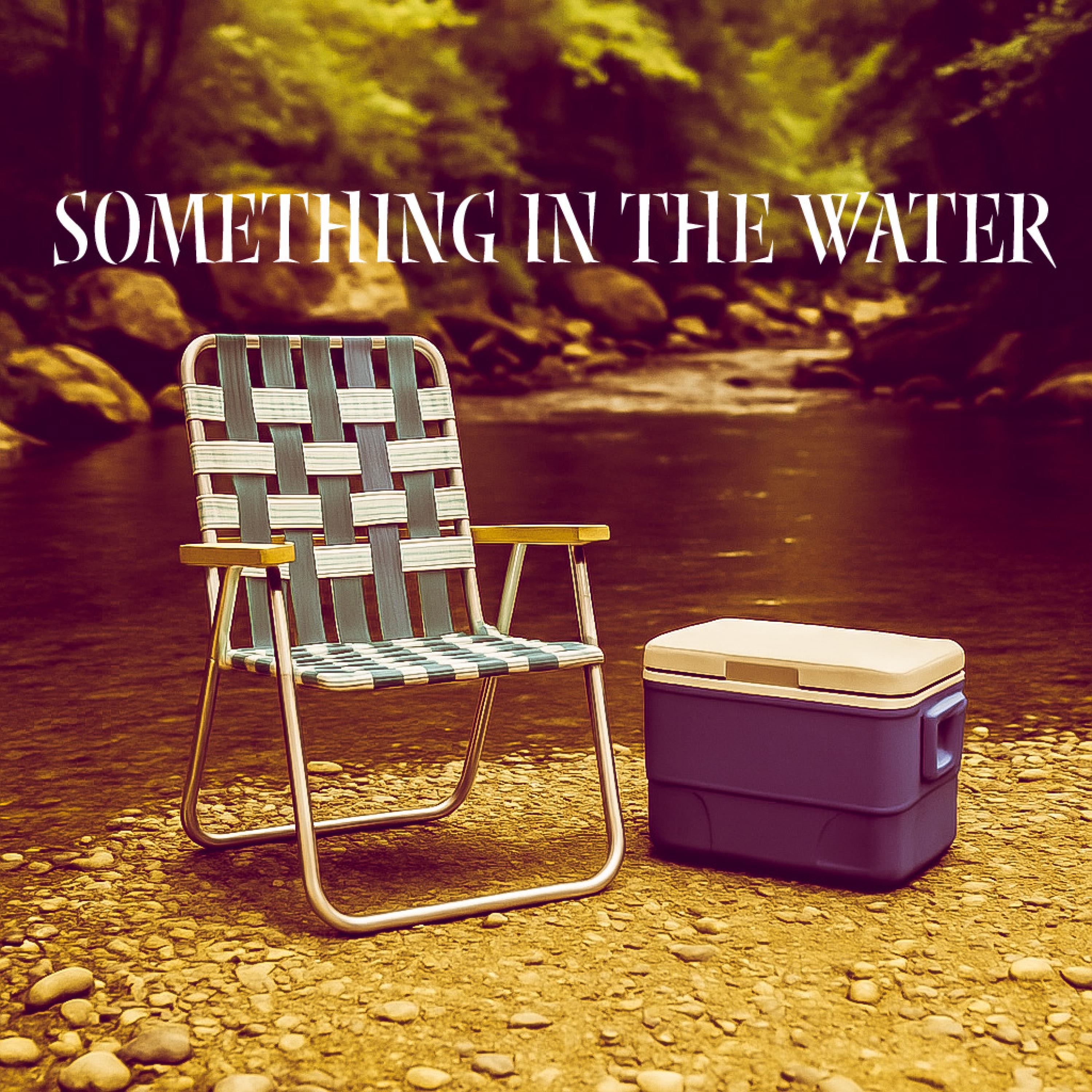 Something In The Water - Single