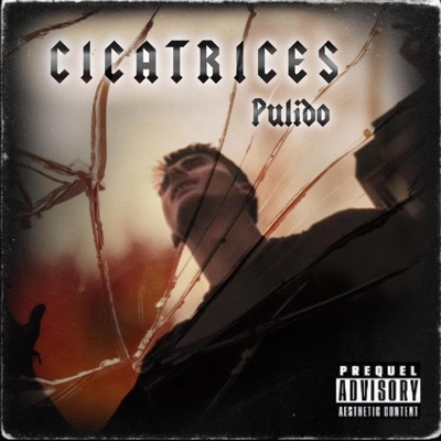 Cicatrices - Single