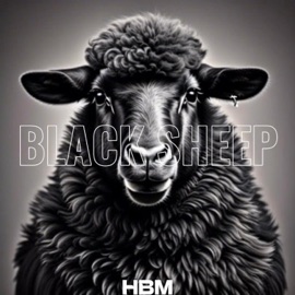 BLACK SHEEP HAWKINS