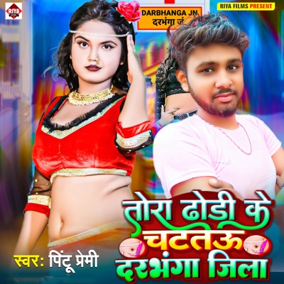 Tora Dhodi Ke Chatatau Darbhanga Jila - Single