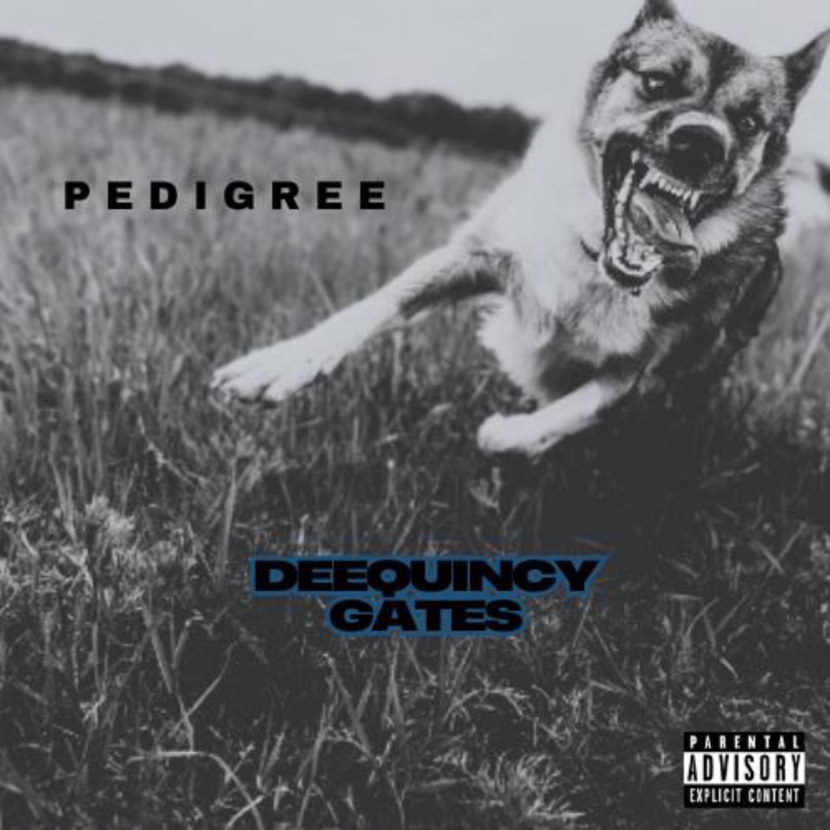 Pedigree - Single