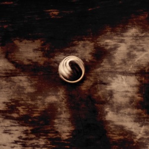 Blue Vervain (feat. Elliott Skinner) - Single