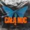 Całą noc artwork