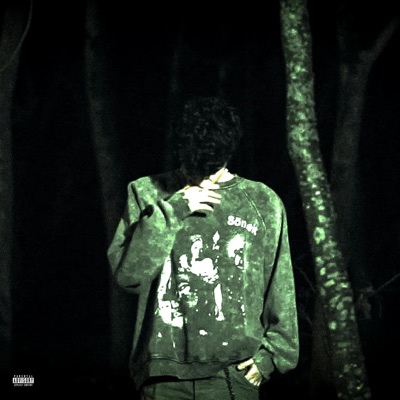 Bxring B!tch (feat. FeryFlame) - Single