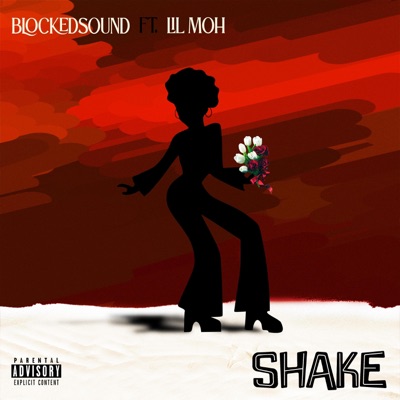 Shake (feat. Lil Moh) - Single