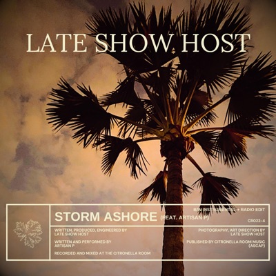 Storm Ashore - Single
