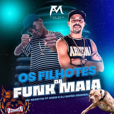 Os Filhotes da Funk Maia - Single