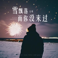 雪飘落而你没来过 - Single - 大可