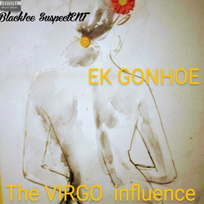 The VIRGO Influence - EP