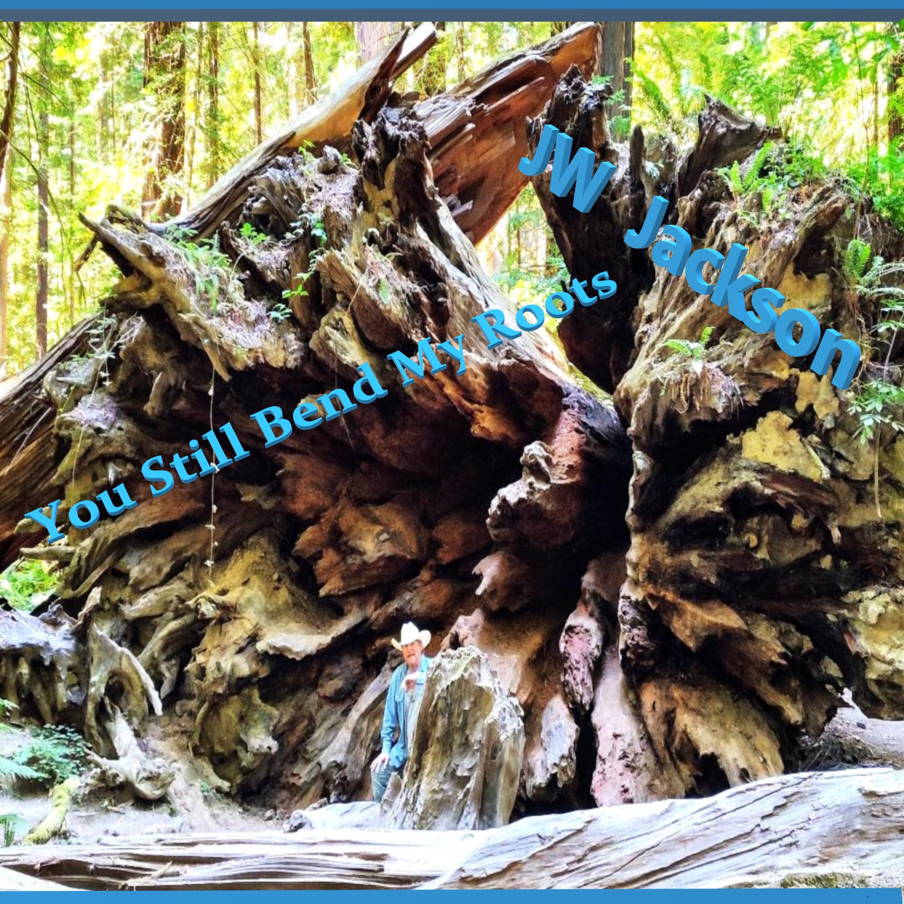 You Still Bend My Roots - Single