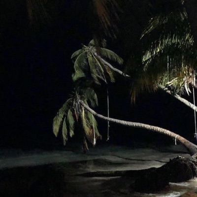 BLI$$fUL 22 - Single