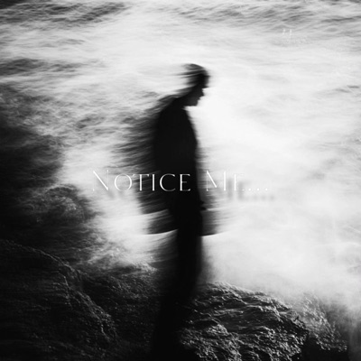 Notice Me - Single