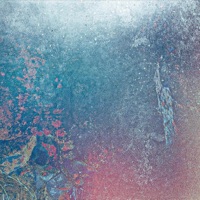 Matter & Mind - EP - Dante Marino