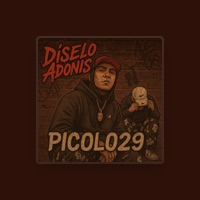 Picolo29