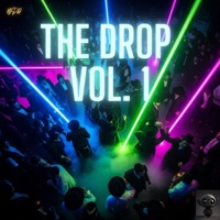 The Drop, Vol. 1 - Shlezkey