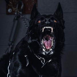 Shady (feat. TOLDEM) Cisneros