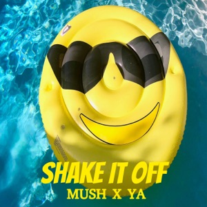 Shake It Off (Radio Edit)